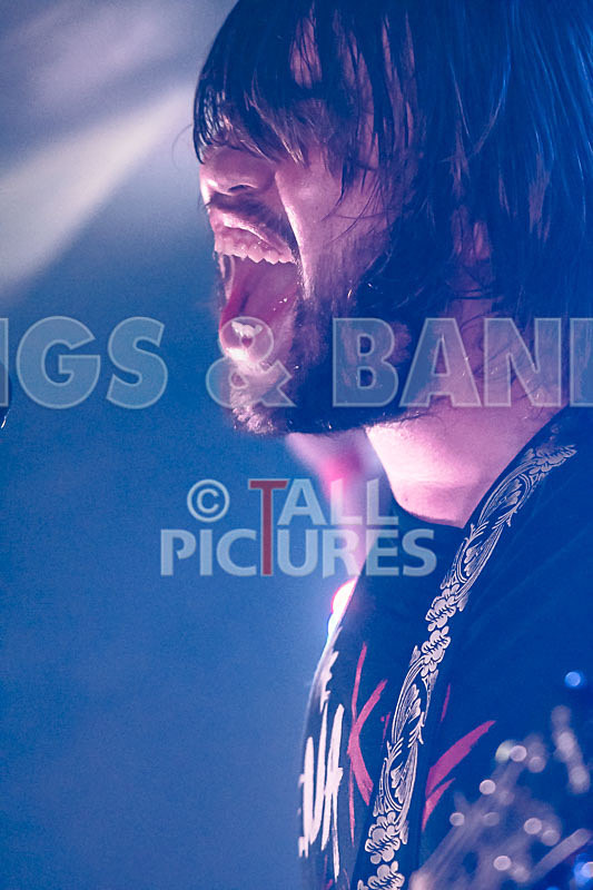 To the Woods-424 - TO THE WOODS