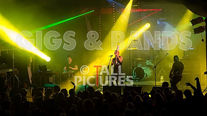 Subsource-50 - SUBSOURCE