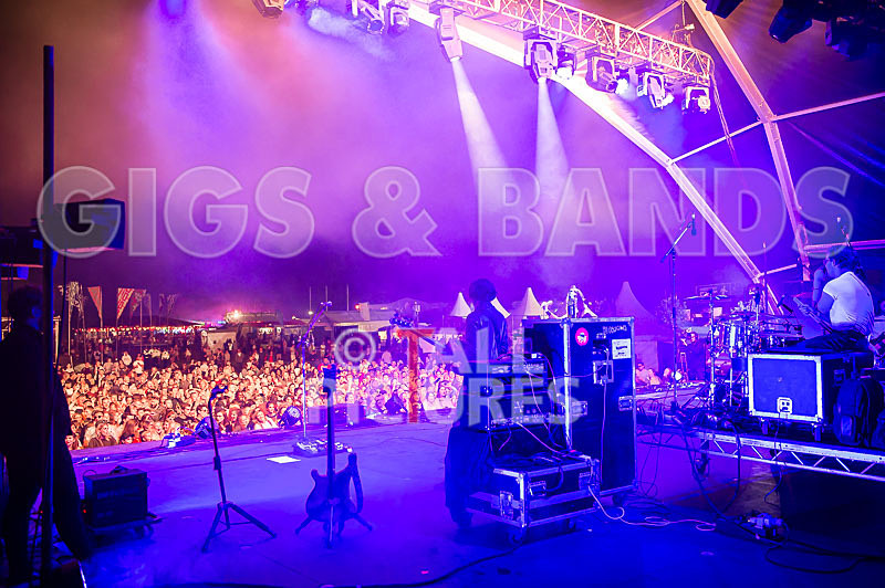 Blossoms-15 - BLOSSOMS