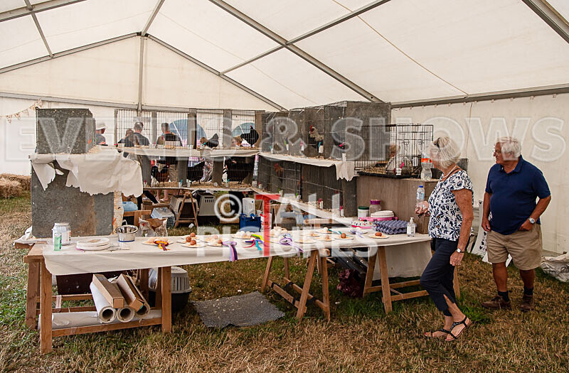 Guernsey Agricultural Show 2021-152 - GUERNSEY AGRICULTURAL SHOW 2021