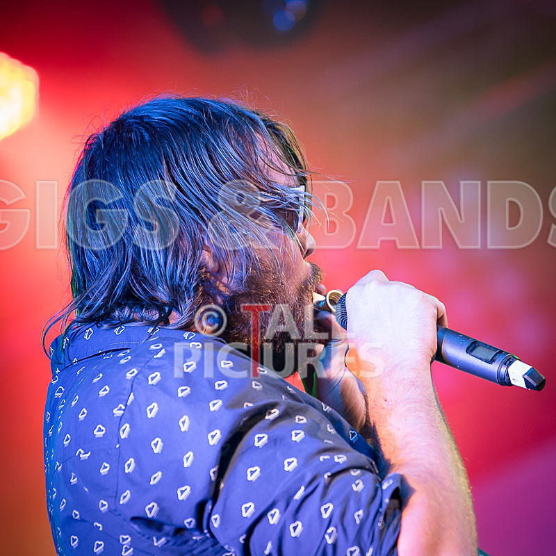 Honest Crooks-171 - HONEST CROOKS