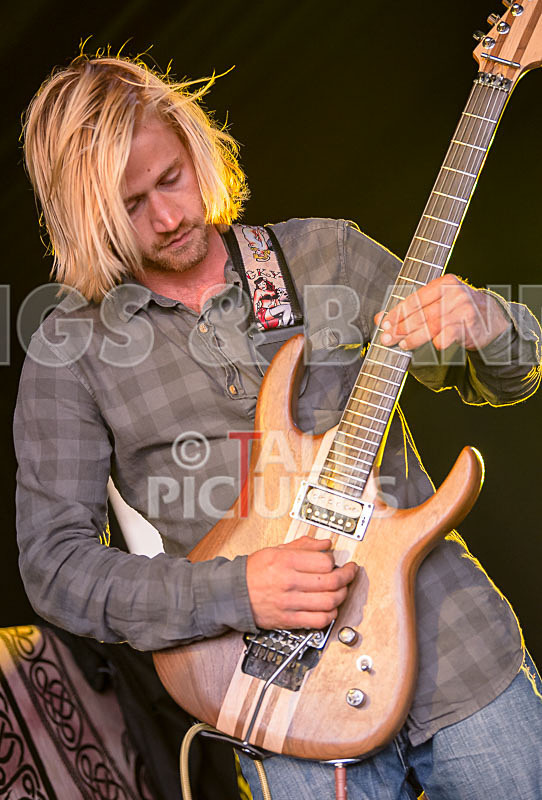 Lizzard Channel-33 - LIZZARD CHANNEL