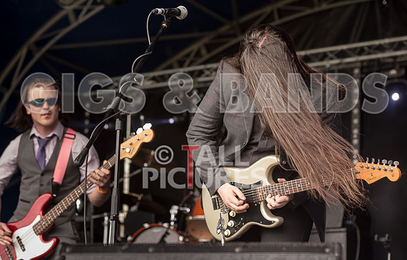 Stone Em All-294 - STONE EM ALL