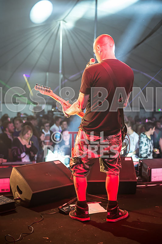 Spunge-113 - [spunge]