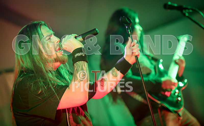 Stone Em All-353 - STONE EM ALL