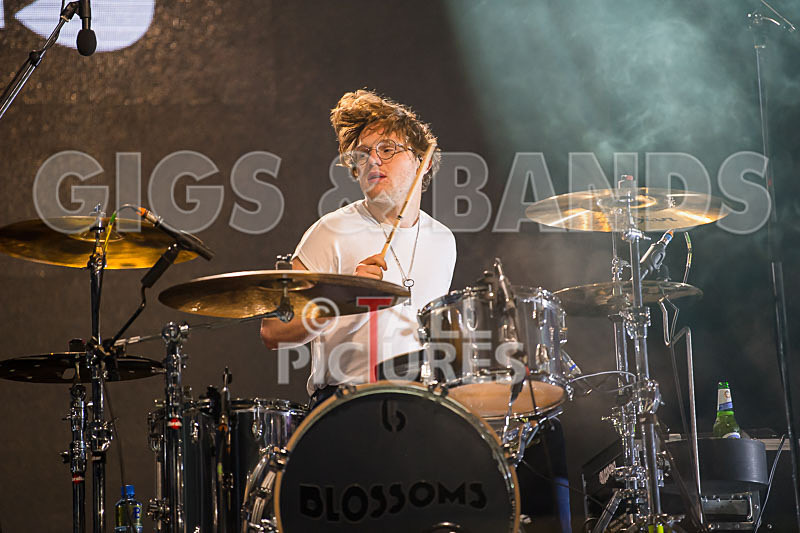 Blossoms-21 - BLOSSOMS