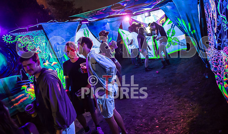 Vale Earth Fair 2017_SCENE-98 - VALE EARTH FAIR 2017_THE SCENE