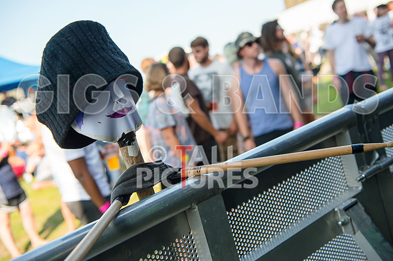 Vale Earth Fair 2017_SCENE-87 - VALE EARTH FAIR 2017_THE SCENE