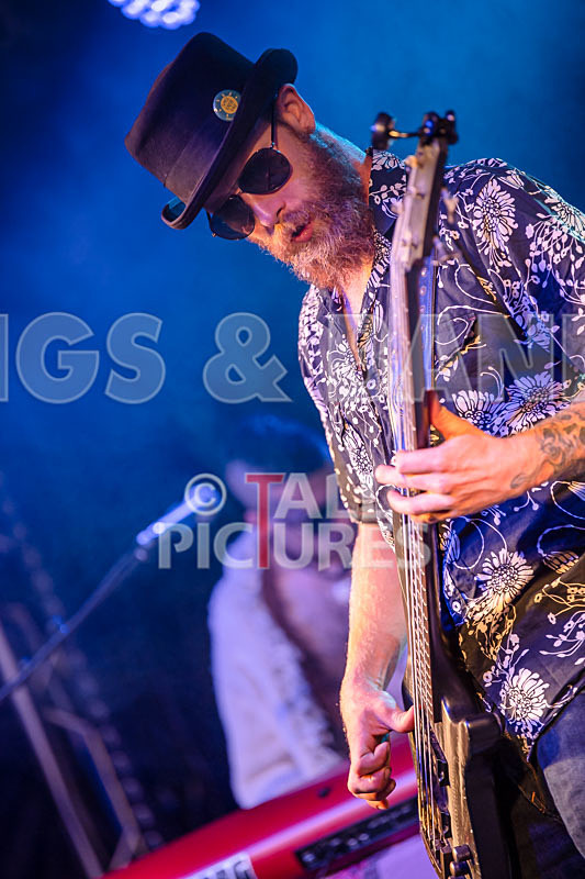 Surfin Birds-62 - SURFIN' BIRDS