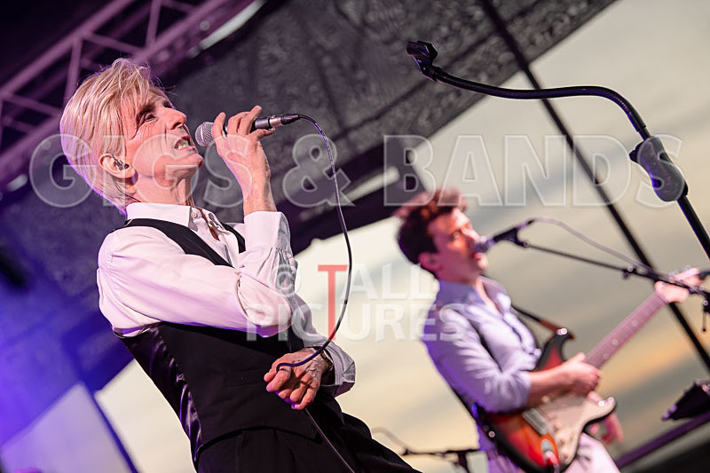 The Bowie Experience-46 - THE BOWIE EXPERIENCE