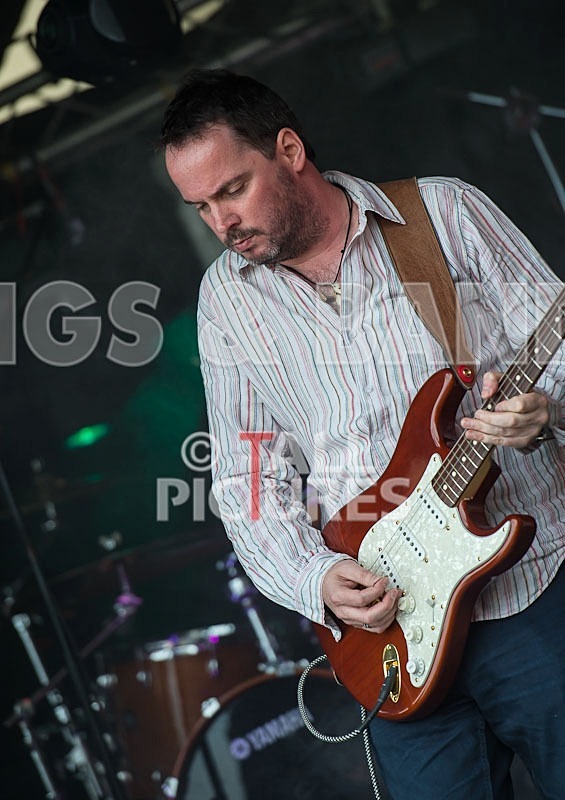 Wild Card-130 - WILD CARD