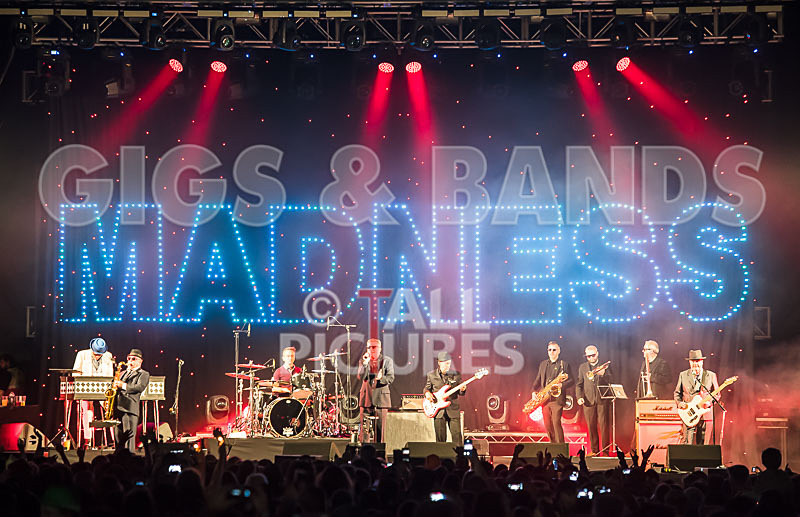 Madness-63 - MADNESS