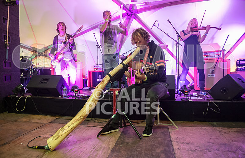 Buffalo Huddleston-254 - BUFFALO HUDDLESTON