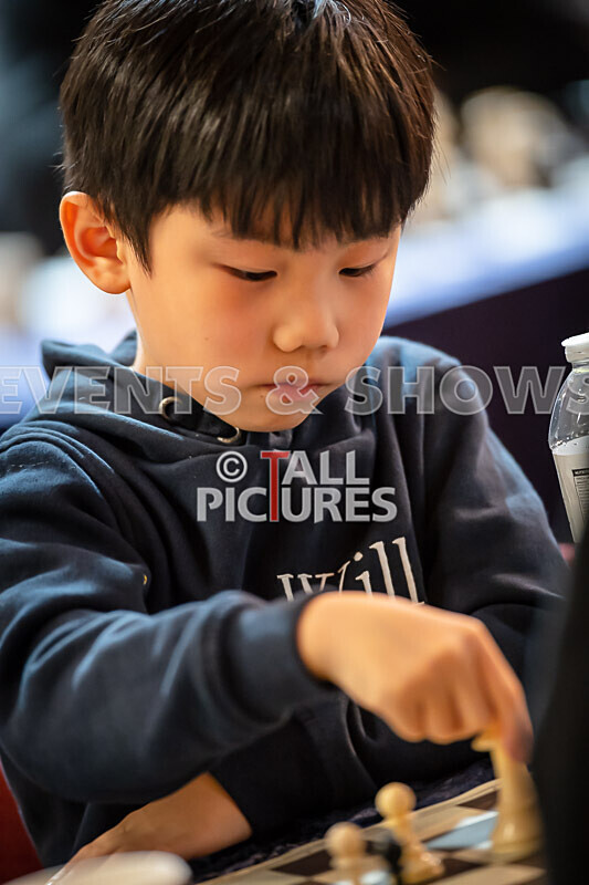 Guernsey Chess Festival 2022-11 - THE 46th GUERNSEY INTERNATIONAL CHESS FESTIVAL