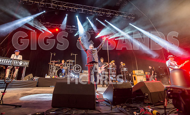 Madness-66 - MADNESS