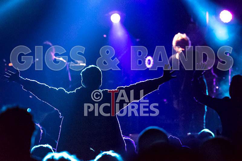 The Charlatans-147 - THE CHARLATANS