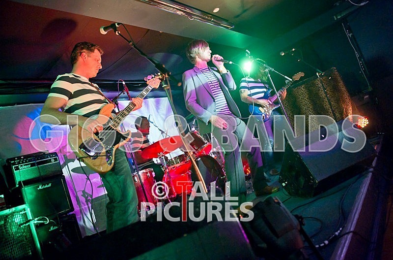 The Cryptics-1 - THE CRYPTICS