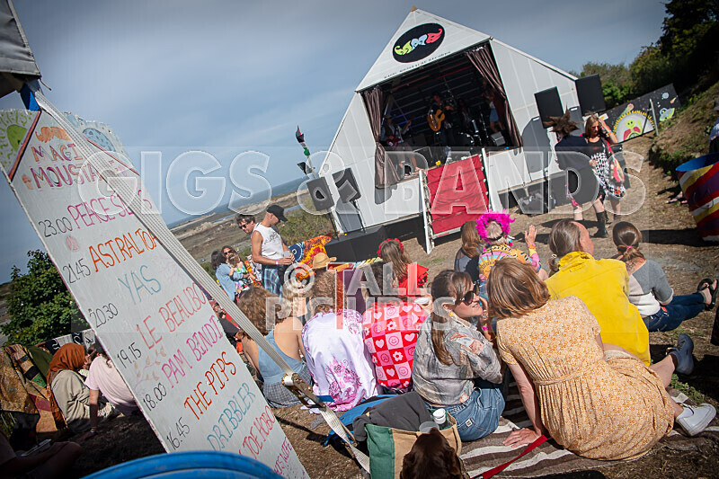 Vale Earth Fair 2022_The Scene-5 - VALE EARTH FAIR 2022_THE SCENE