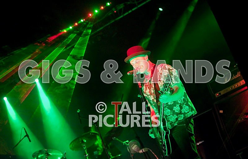 Peppered Ant Legs-28 - PEPPERED ANT LEGS at RoA-3