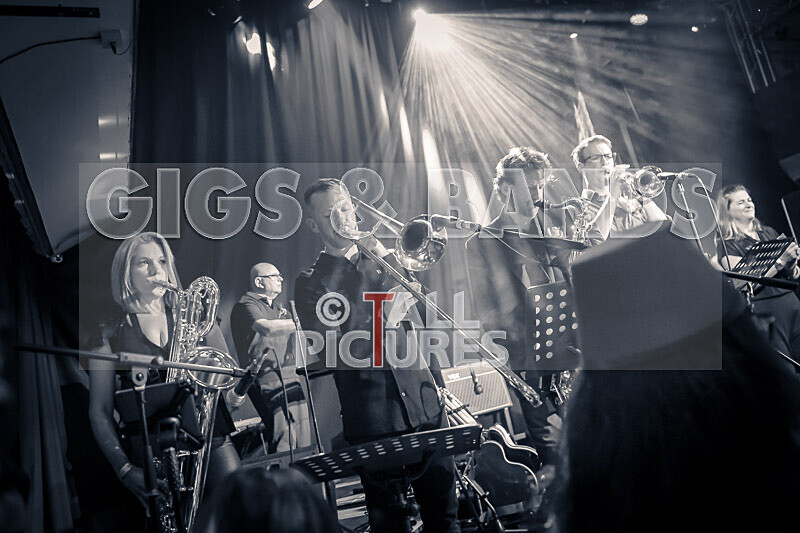 King Rat  the Soul Cats-510 - KING RAT & THE SOUL CATS