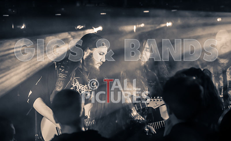 Stone Em All-181 - STONE EM ALL