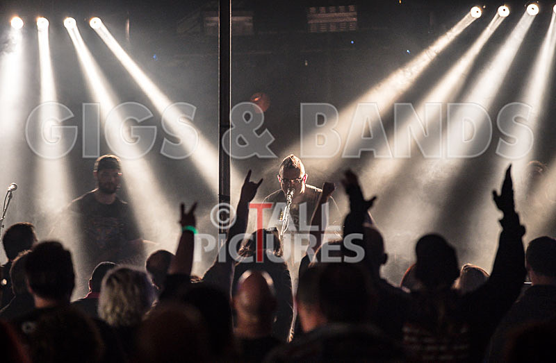 Demise of Sanity-132 - DEMISE OF SANITY