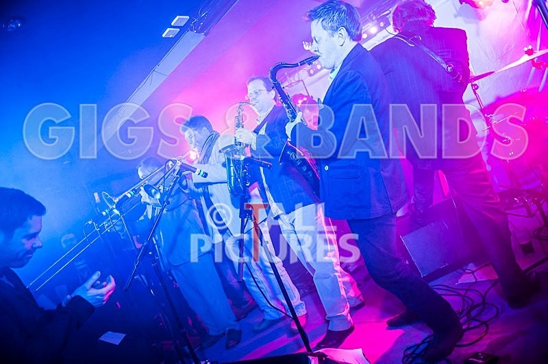 The Pulse-127 - THE PULSE