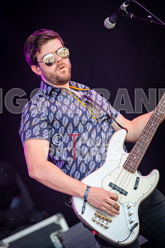 Stereotonics-8 - STEREOTONICS