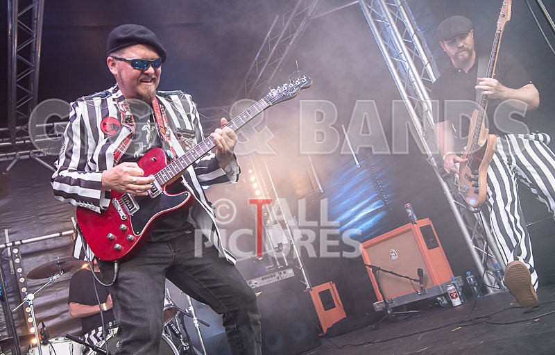 The Smooth Hounds-45 - THE SMOOTH HOUNDS