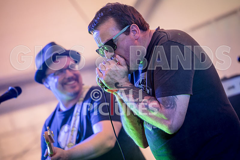 Hevvy Bevvy Blues Band-7 - HEVVY BEVVY BLUES BAND