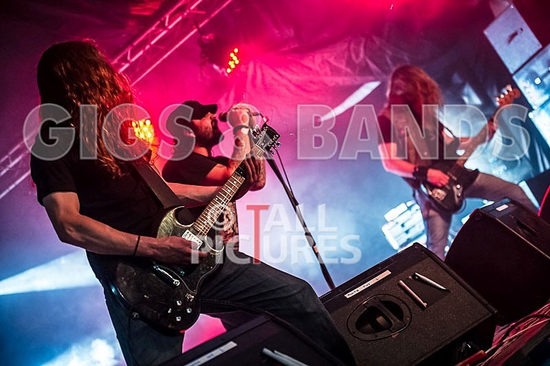 Viking Skull-43 - VIKING SKULL