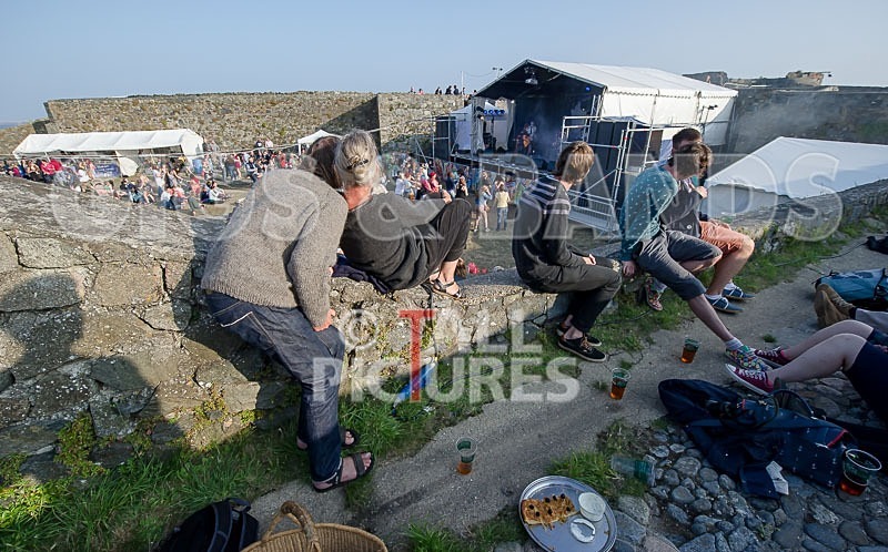 Vale Earth Fair_2013_Atmosphere-46 - VALE EARTH FAIR 2013_THE ATMOSPHERE