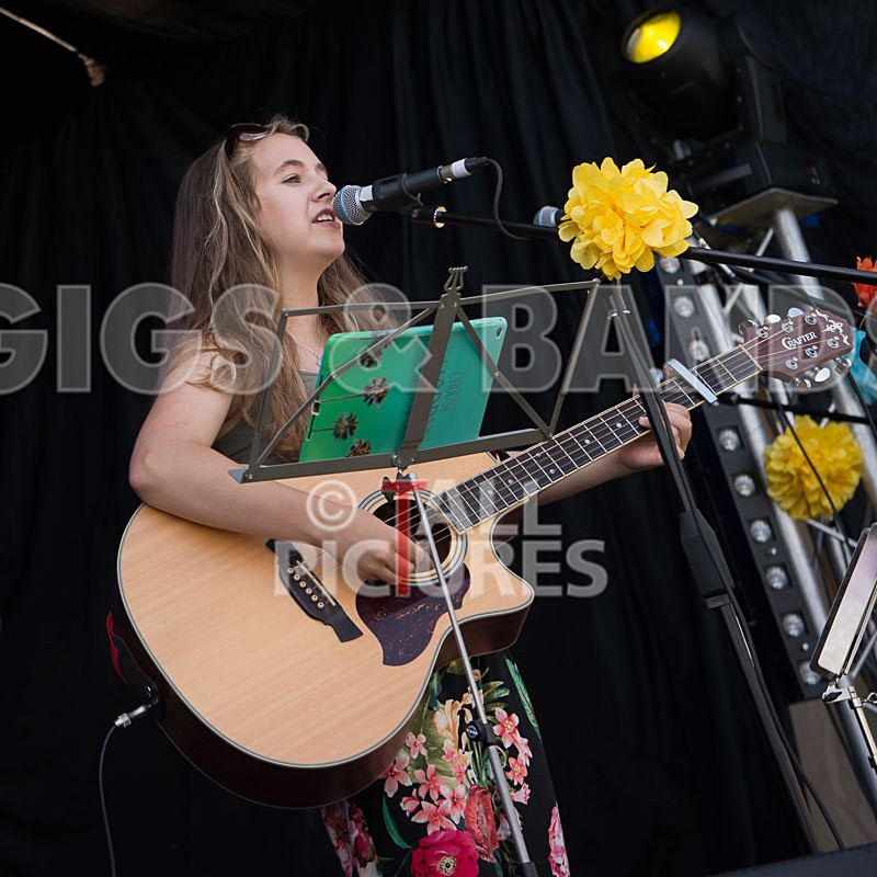 SoPM Vale Earth Fair-1 - SoPM on the VIEWALALU STAGE