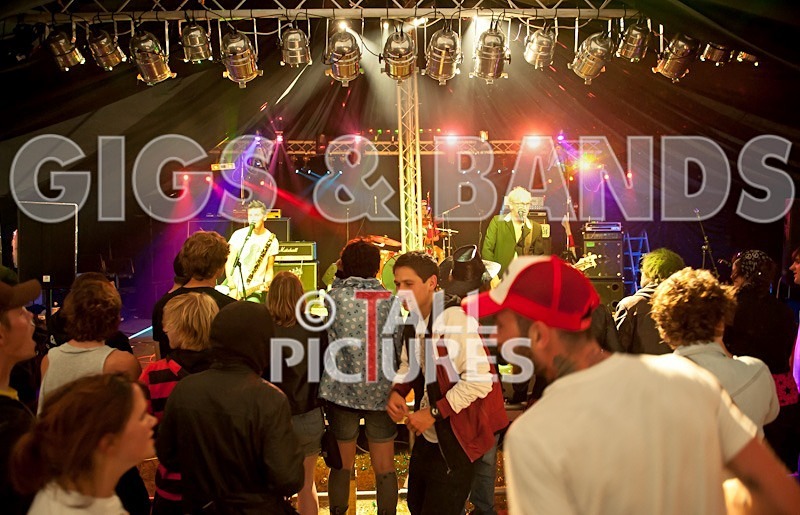 Top Buzzer-24 - TOP BUZZER