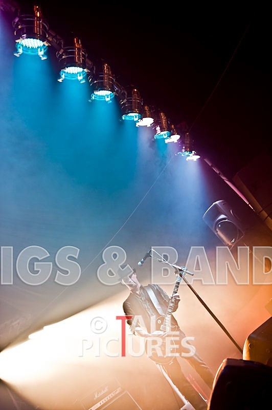 Peppered Ant Legs-74 - PEPPERED ANT LEGS