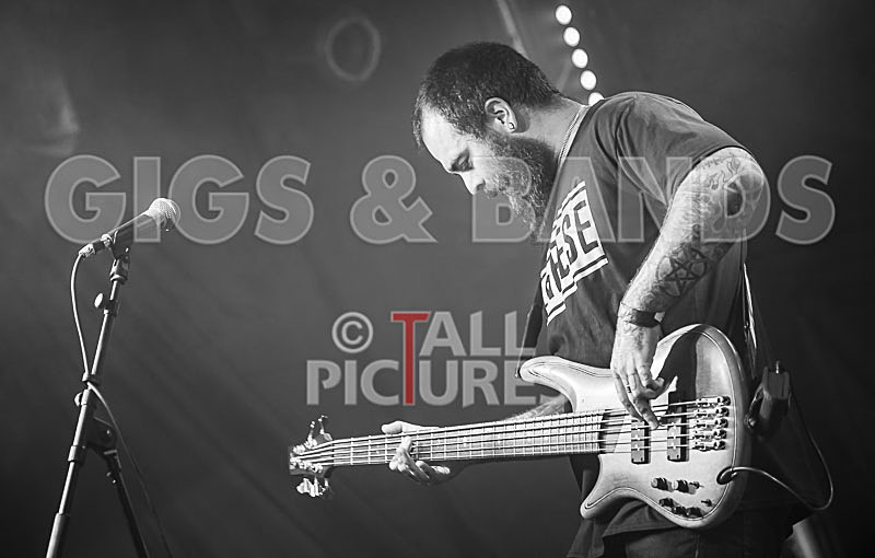 Static Alice-747 - STATIC ALICE