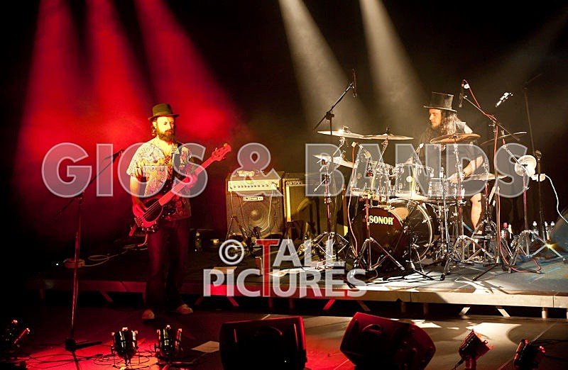 Peppered Ant Legs-29 - PEPPERED ANT LEGS at RoA-3