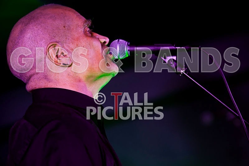 The Wilko Johnson Band-54 - THE WILKO JOHNSON BAND