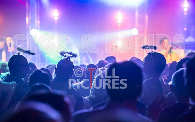 King Rat the Soul Cats-348 - KING RAT AND THE SOUL CATS