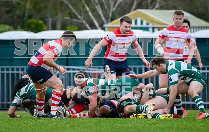 Guernsey Raiders v Dorking-66 - GUERNSEY RAIDERS v DORKING