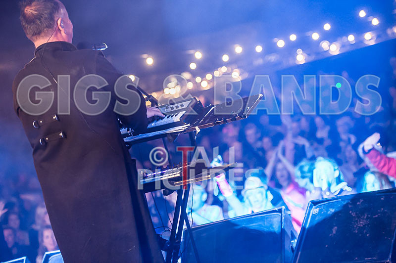 Fade to Grey-309 - FADE TO GREY