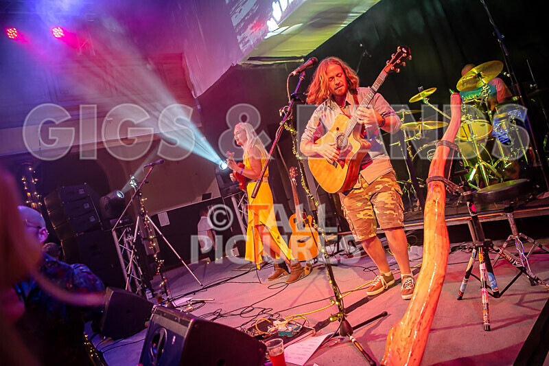 Buffalo Huddleston-601 - BUFFALO HUDDLESTON