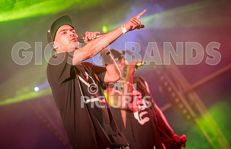 Asian Dub Foundation-22 - ASIAN DUB FOUNDATION