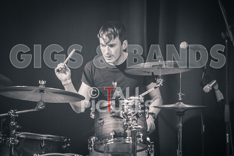 The Tarantulips-34 - THE TARANTULIPS