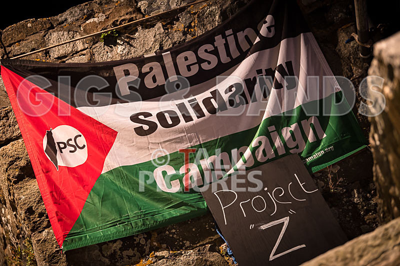 Vale Earth Fair 2017_SCENE-154 - VALE EARTH FAIR 2017_THE SCENE