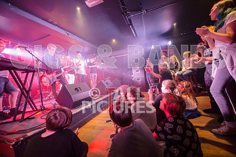 Lady and the Tramps-17 - LADY AND THE TRAMPS