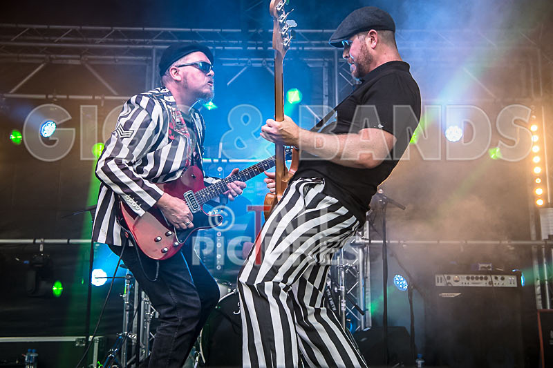 The Smooth Hounds-51 - THE SMOOTH HOUNDS