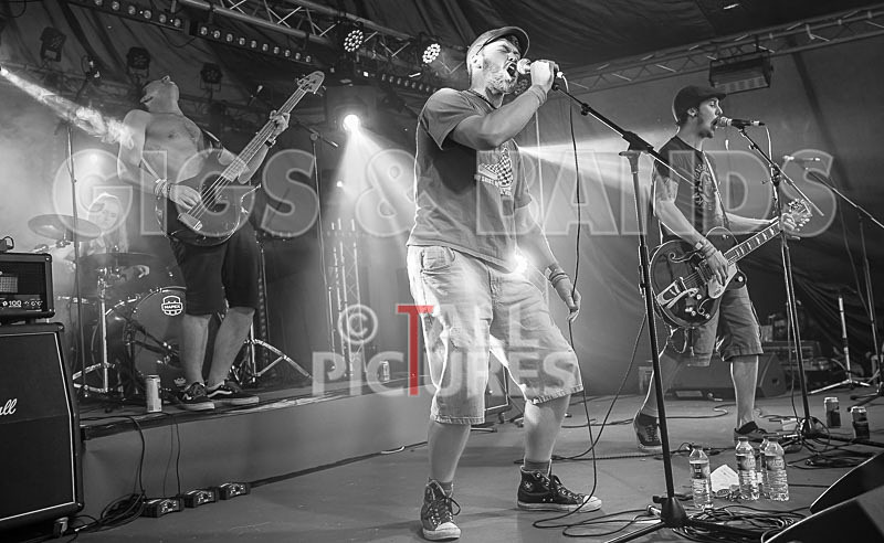 Jawbone-50 - JAWBONE