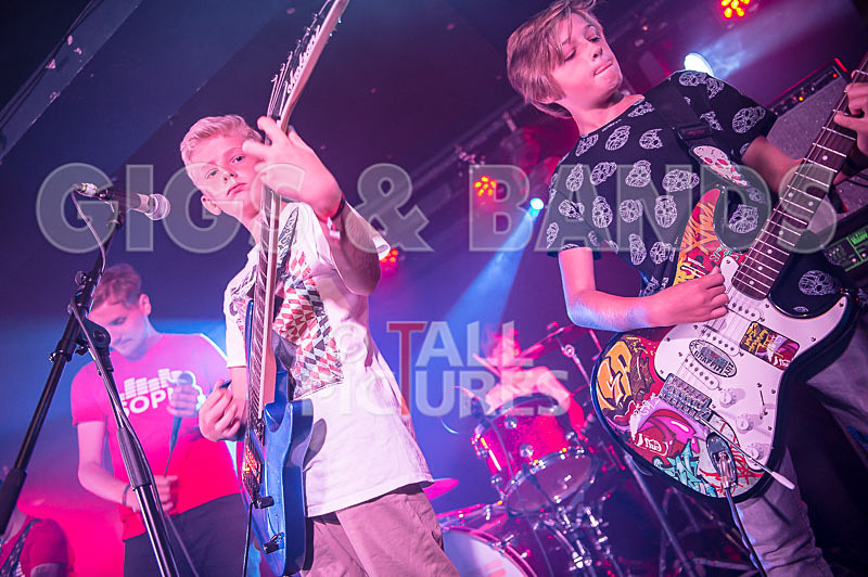 The Lemmings-8 - THE LEMMINGS