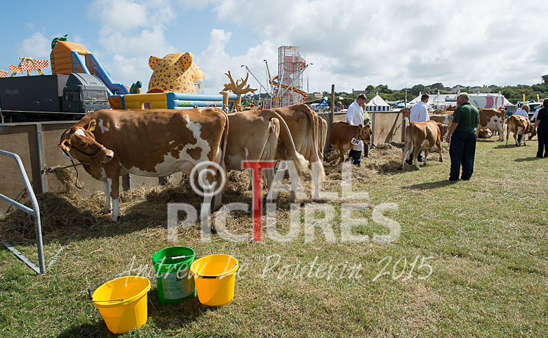 West Show_2014-13 - THE WEST SHOW 2014
